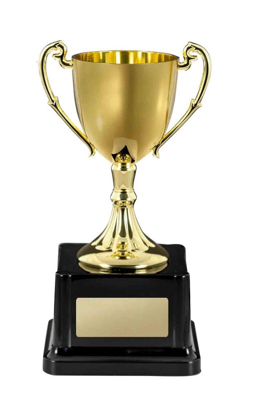 Gold Cast Cup Metal Cup 150mm
